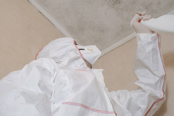Best Mold Testing  in Rodeo, CA
