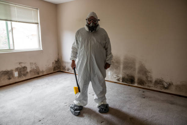 Water Damage Restoration in Rodeo, CA